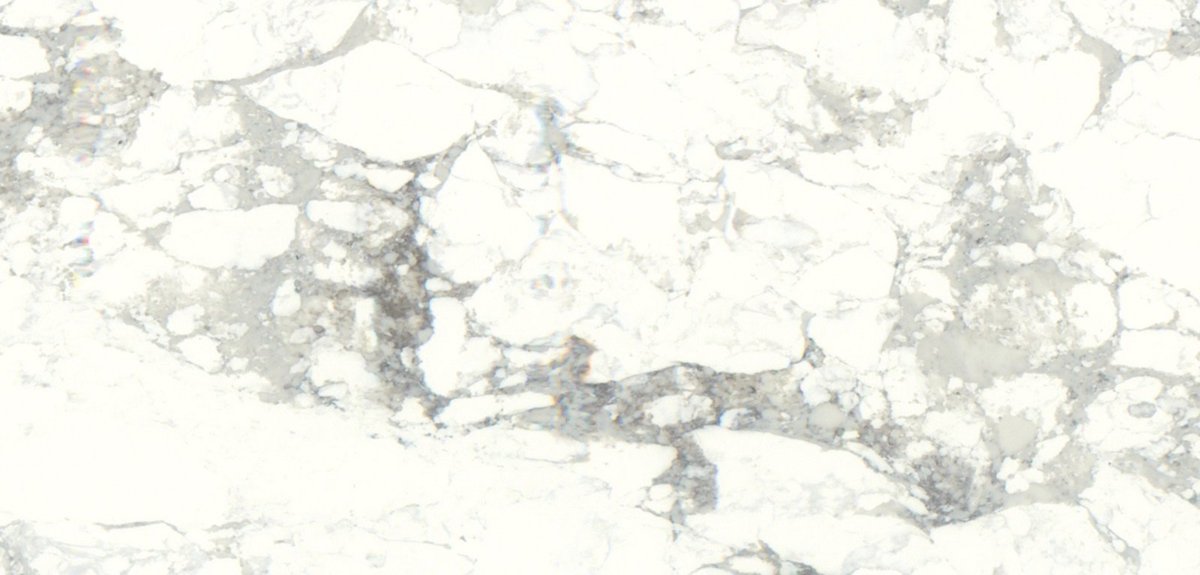 Arabescato White