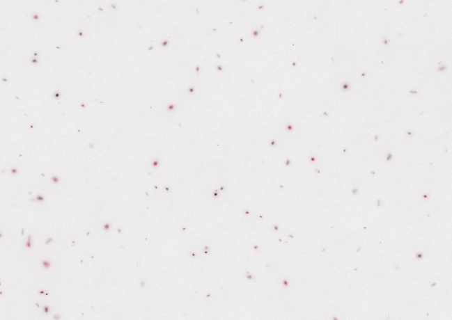 Детальное фото камня Noblle Quartz Jade White