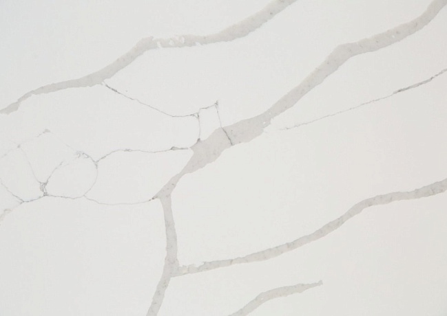 Детальное фото камня WSP Лоза