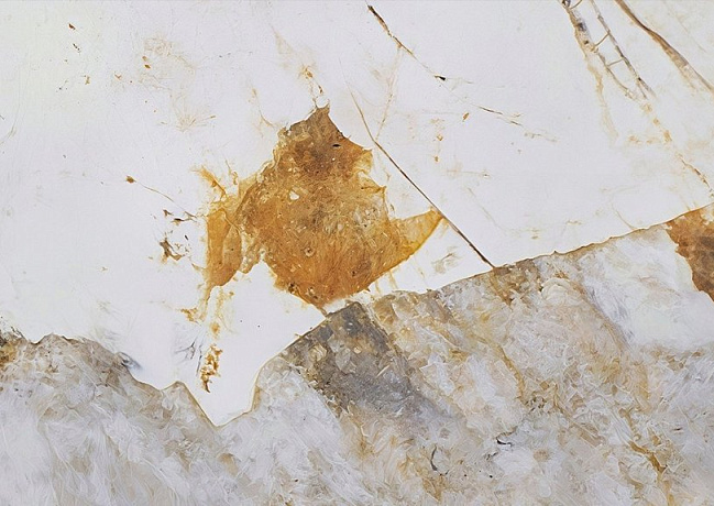 Детальное фото камня Avant Quartz Патагония Брив