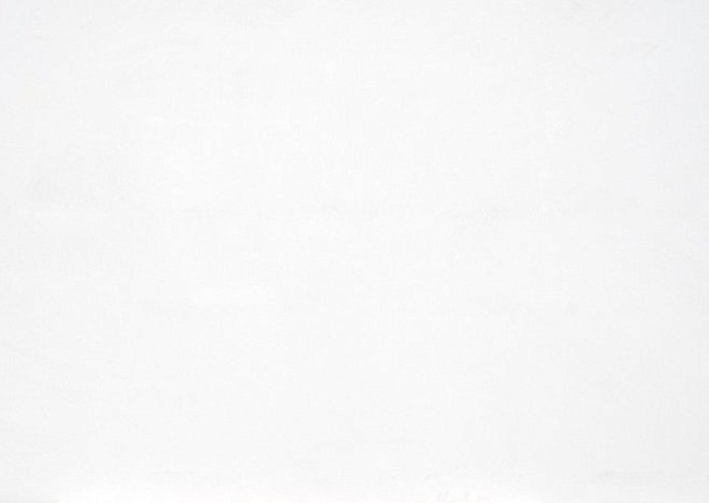 Absolute White