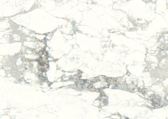 Детальное фото камня Noblle Quartz Arabescato White