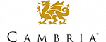 Фото Cambria
